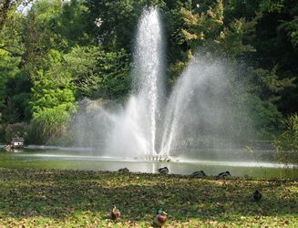Img016